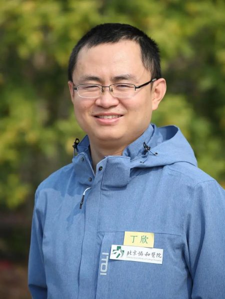 丁欣